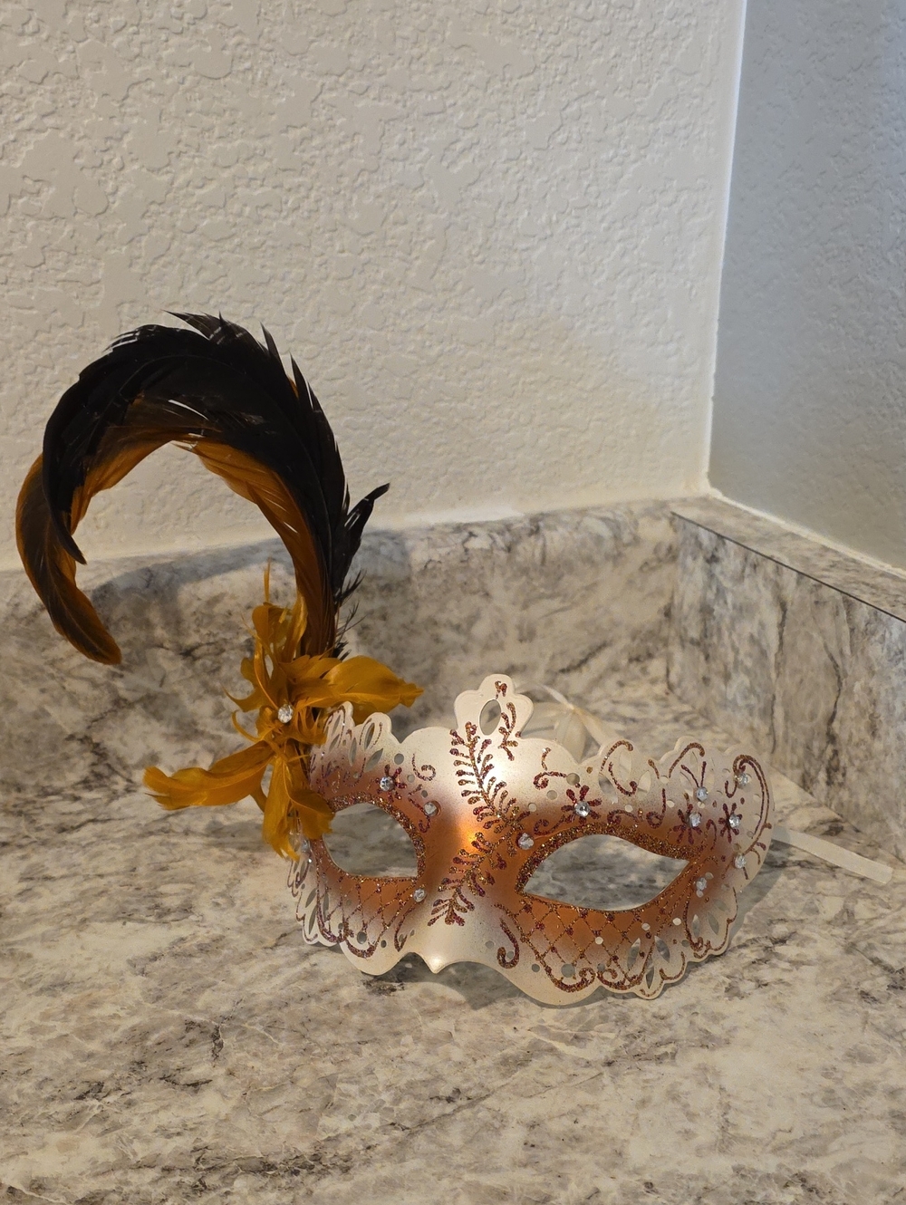 Feathered Masquerade Mask